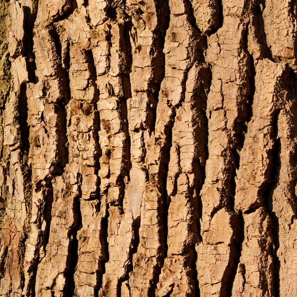 0,45 % hvit pilbark (naturlig BHA-kilde)